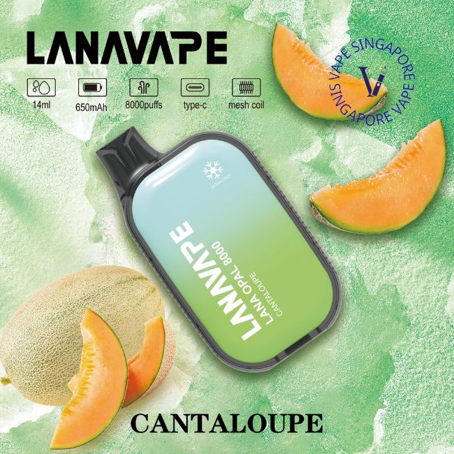 lana-opal-8000-puff-cantaloupe-disposable-sg-vape-shop-singapore
